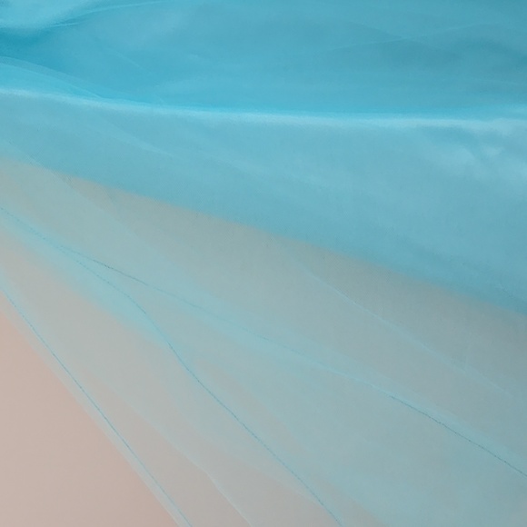 Blue Sweetheart Bodice and Tulle Gown - Picture 3 of 6